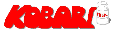 未来の自分を整える習慣